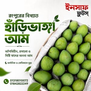 পদাগঞ্জ এর বিখ্যাত হাঁড়িভাঙ্গা আম